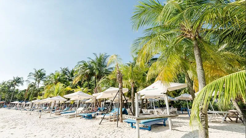 Coastes Sentosa beach club in Singapore Coastes Sentosa beach club Singapore