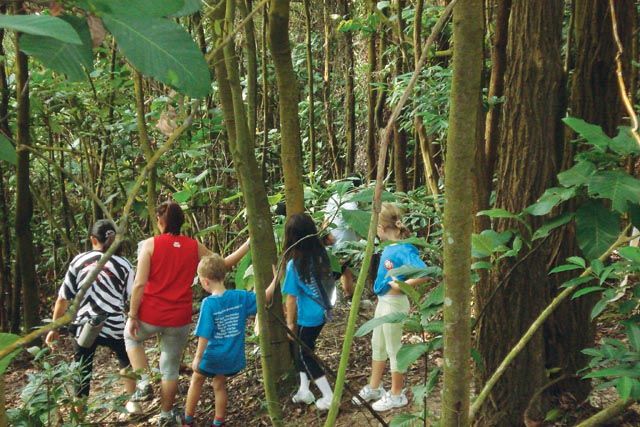 A family's Hash House Harriers adventure in Singapore