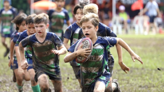 Dragons rugby for kids boys game
