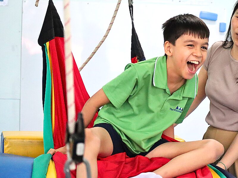 The Winstedt School learning support programme