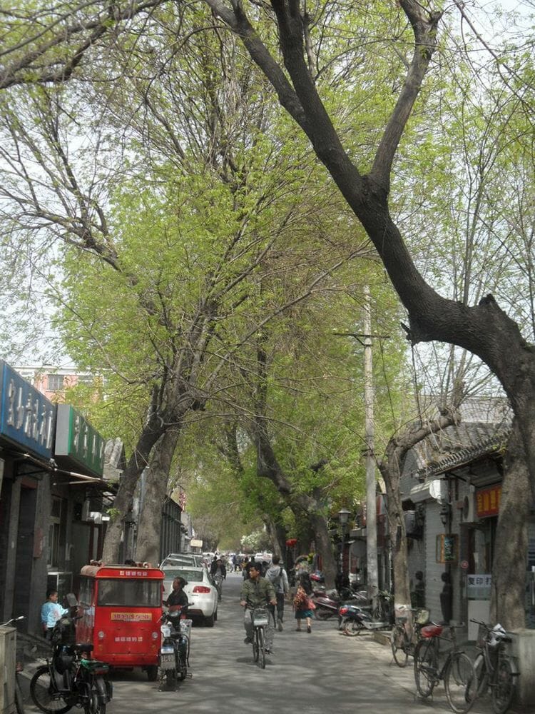 A hutong (traditional neighbourhood) in Beijing