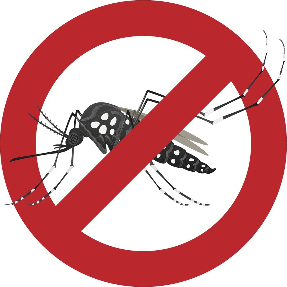 effective-tips-to-prevent-dengue-fever