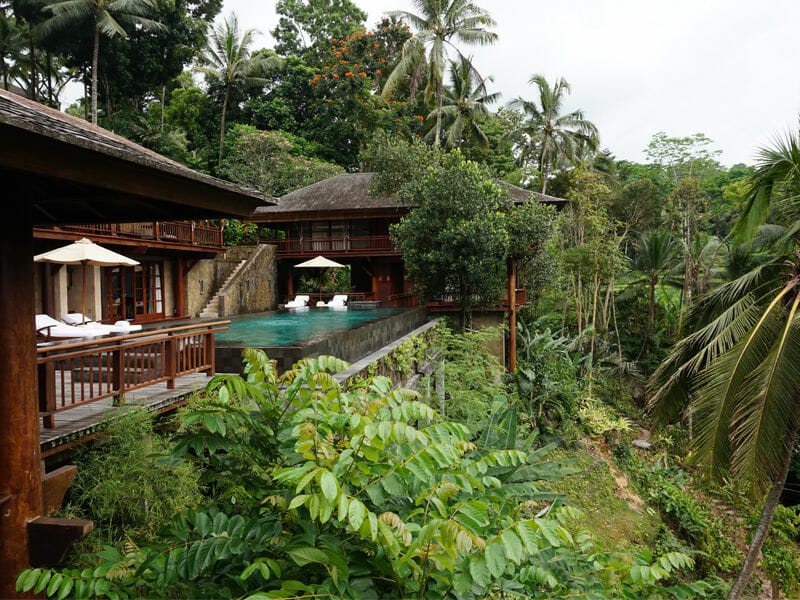 Forest views at COMO Shambhala Estate Bali Resort