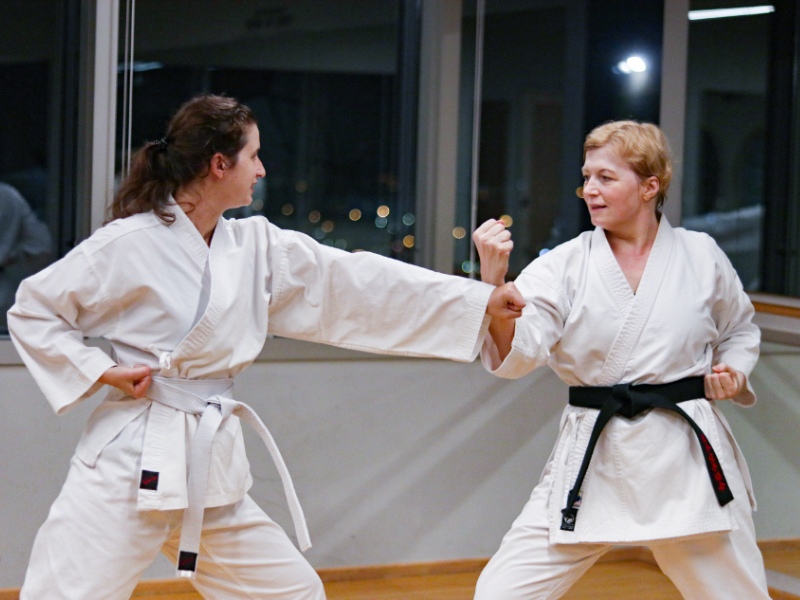 martial arts women's self-defence