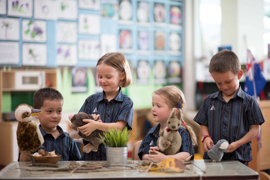 Australian International School - Storypark learning app