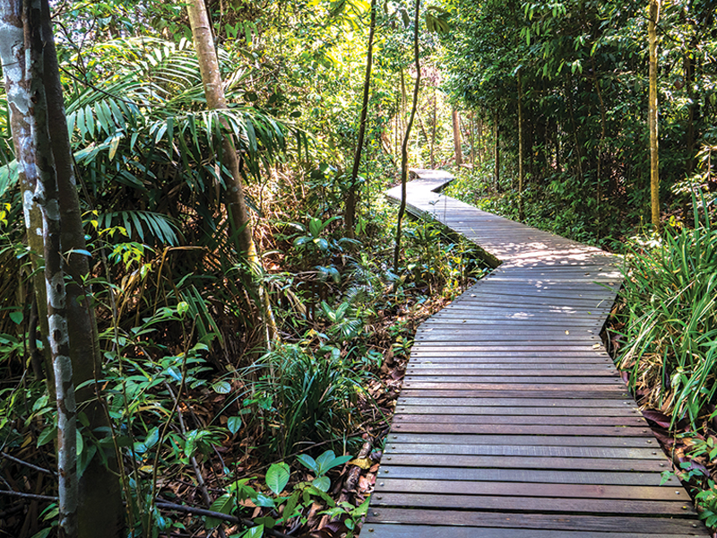 Nature reserve walkway