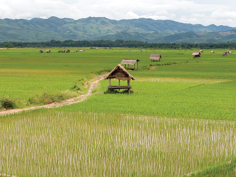 Things to do in Laos