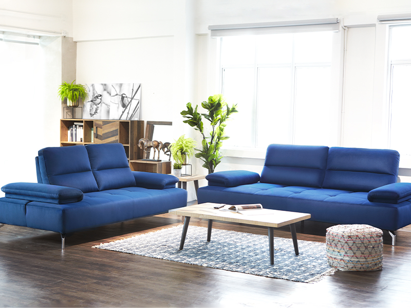 Blue adjustable sofa set, Ritz Houzz