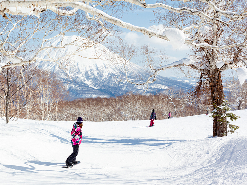 Niseko Japan skiing