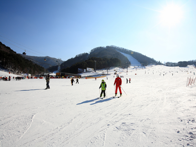 Yongpyong Resort korea skiing