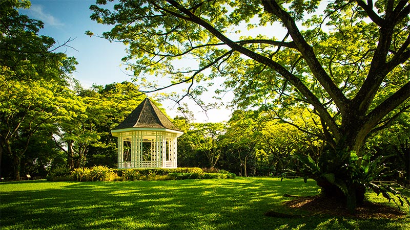 Botanic gardens pavillion - beautiful picnic places in singapore