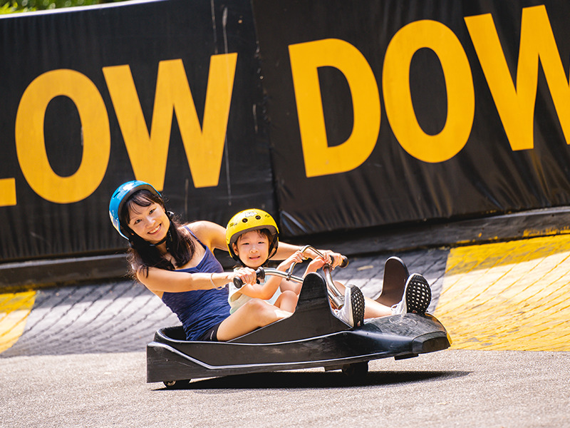 Fun activities to do with kids in Singapore at Skyline Luge Sentosa