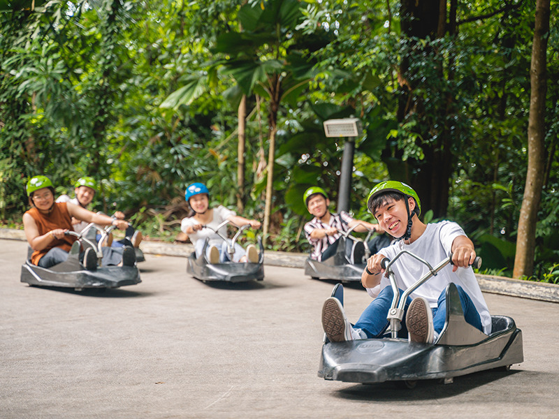 Skyline Sentosa Luge fun activities to do with friends in Singapore