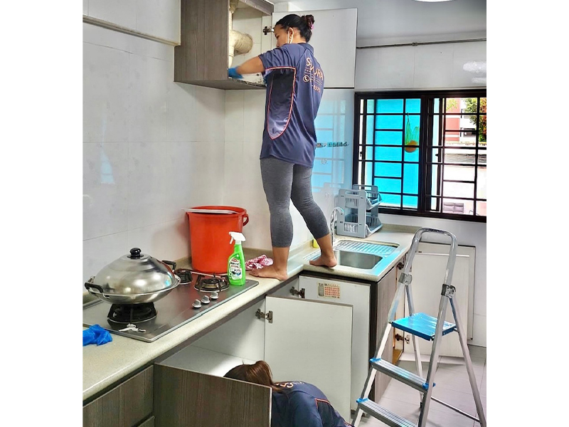 domestic helpers
