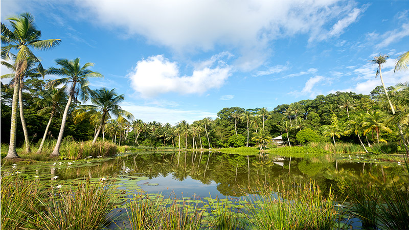 Pulau Ubin - places to visit in singapore