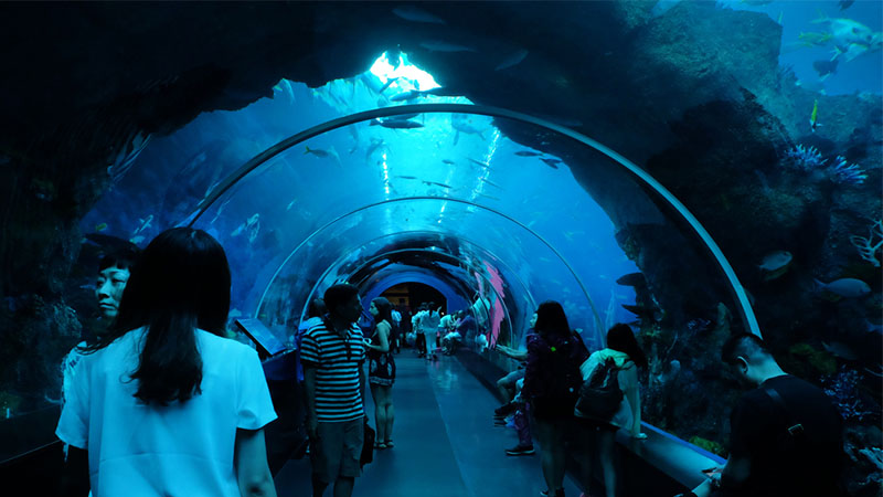 S.E.A. Aquarium - - Top Places To Visit in Singapore