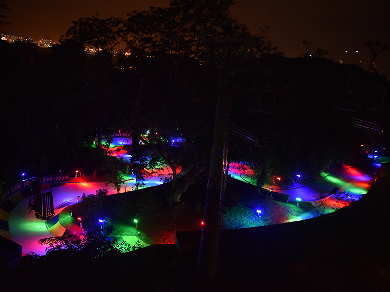 Luge night things to do do at night in singapore