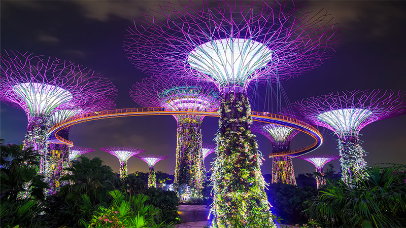 free things to do in singapore gardens by the bay