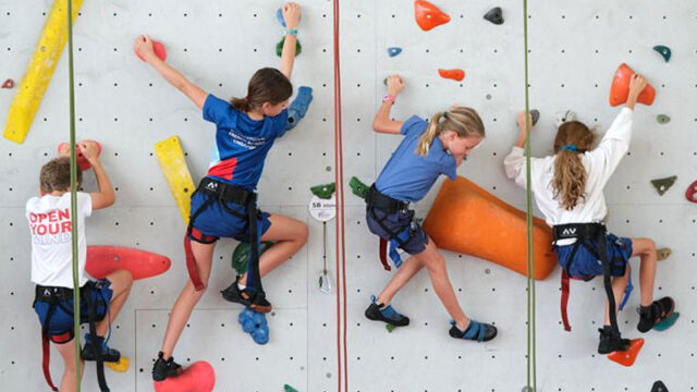 IFS climbing CCAs ECAs