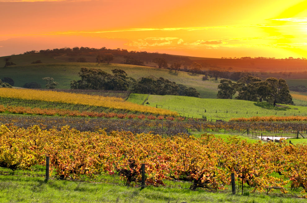 Beyond Margaret River best Australian wine regions