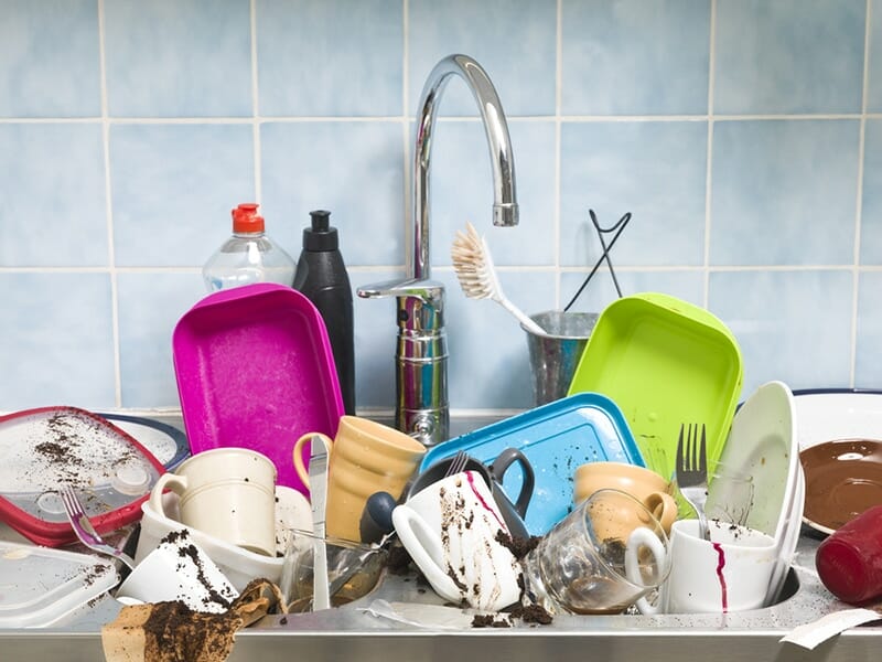 Rentokil pest control dirty dishes