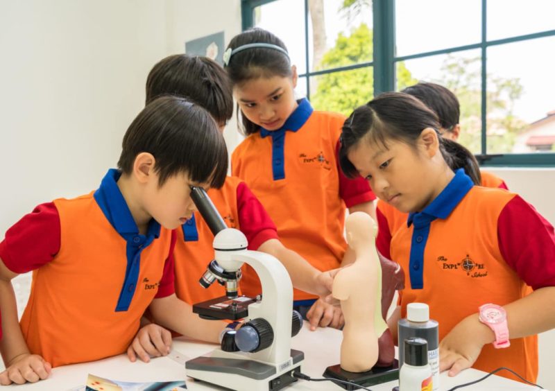 talented children: primary school students looking at microscope