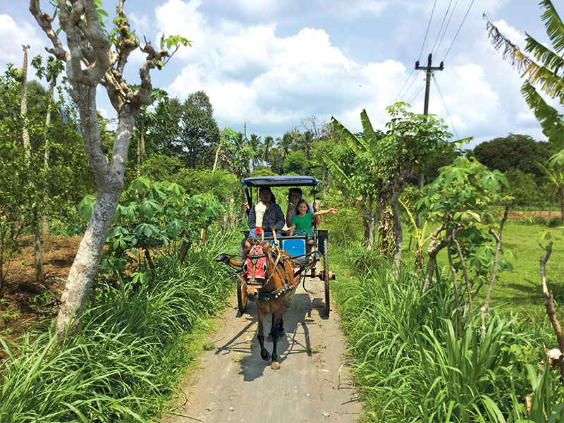 Java borobudur horse ride