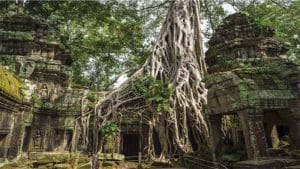 image of cambodia's angkor wat