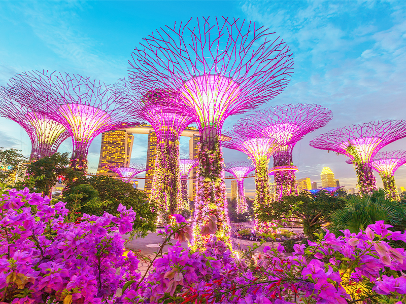 Gardens by the bay Permanent Resident become a PR in singapore immigration agency