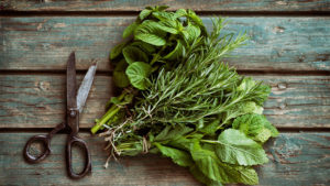 image of herbs for vertical gardening story