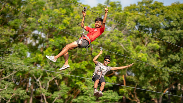 image of Forest adventure grand course for things to do with kids in Singapore