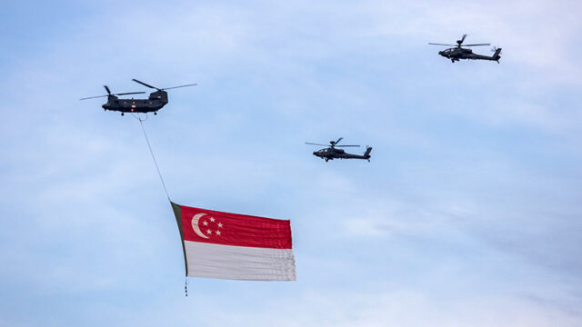 what to do on national day parade - state flag flypast