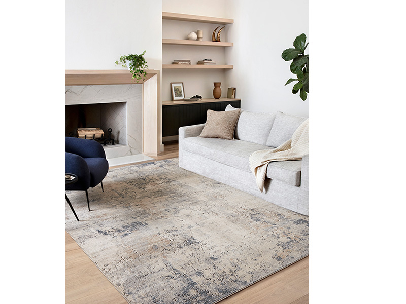 Rugs and carpets for the living room