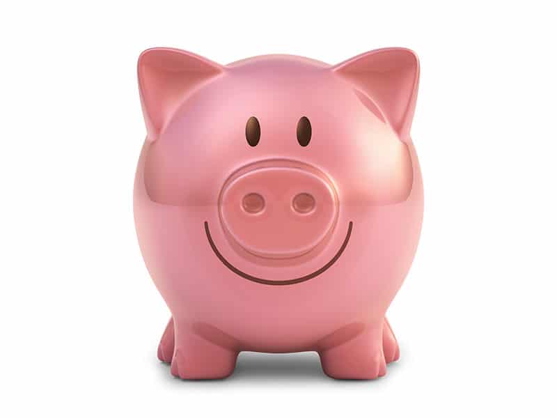 Money matters piggy bank