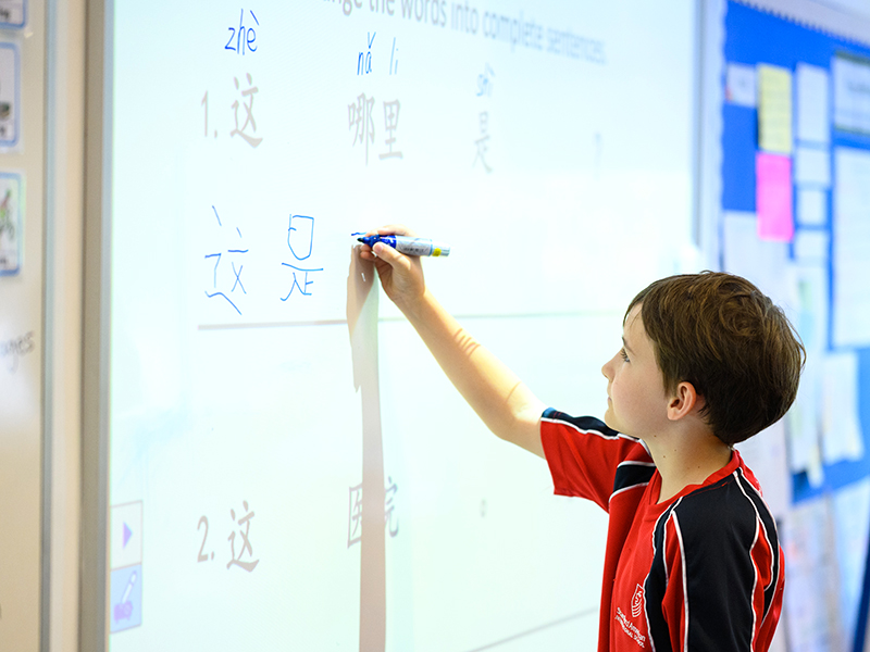 writing Chinese as a second language at SAIS