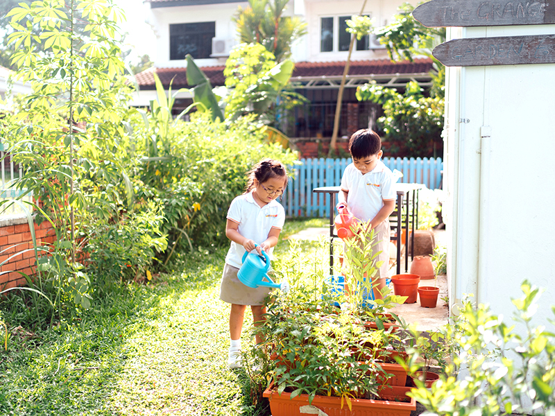 Preschool curriculum unstructured learning gardening