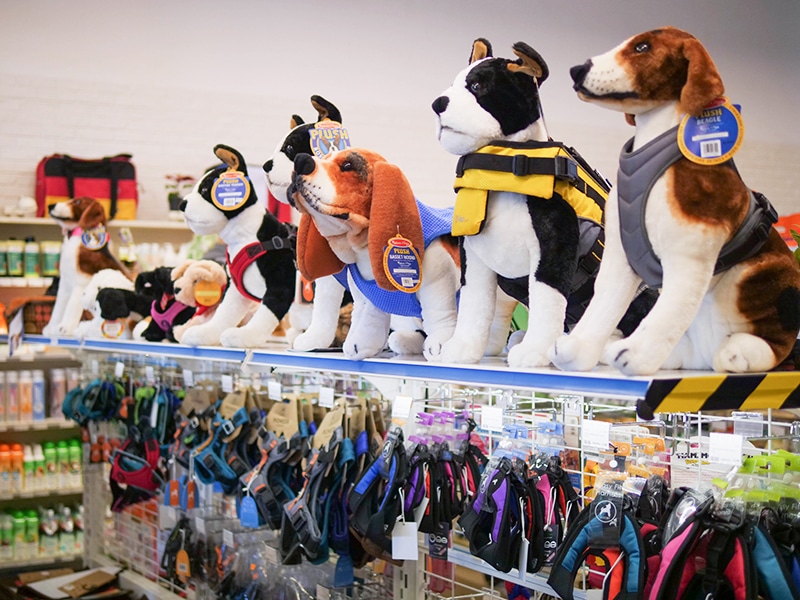 Singpet store pet accessories pet shops in singapore