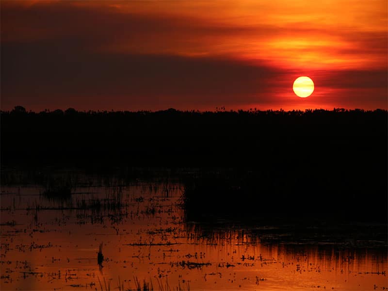 Australia Bamurru Plains red sunset