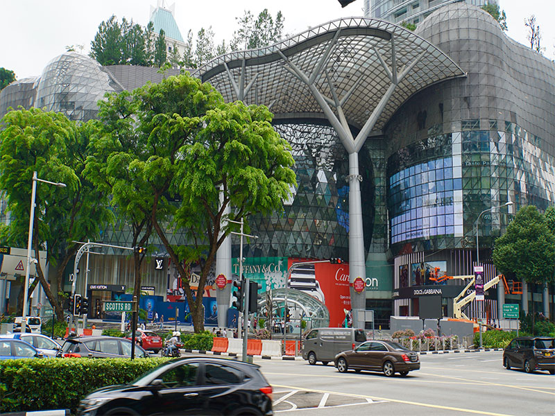 ION Orchard