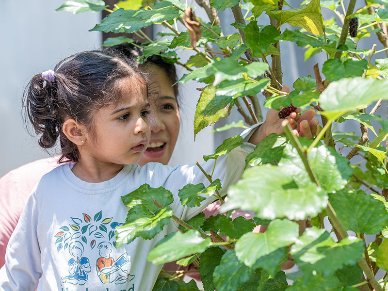 Kinderland Academy Preschool curriculum child exploring plants outdoors