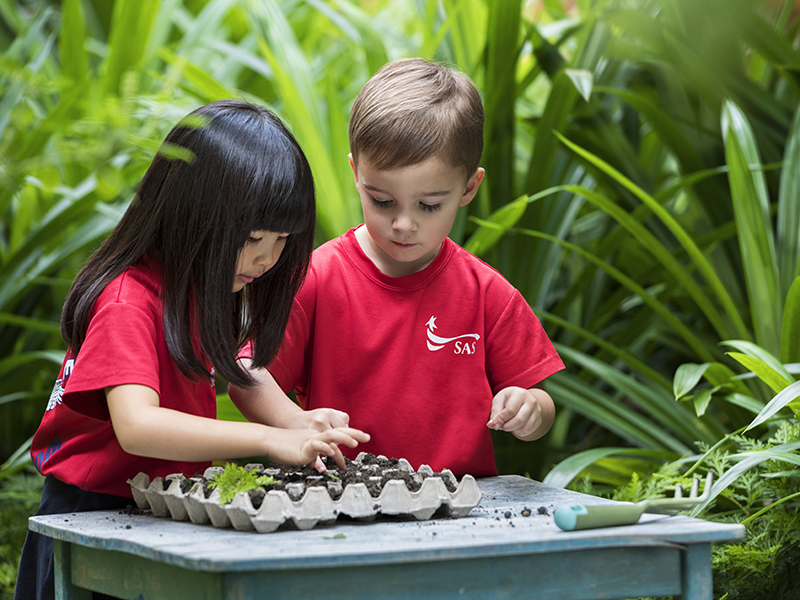 Reggio Emilia inspired preschool curriculum outdoor learning - SAS