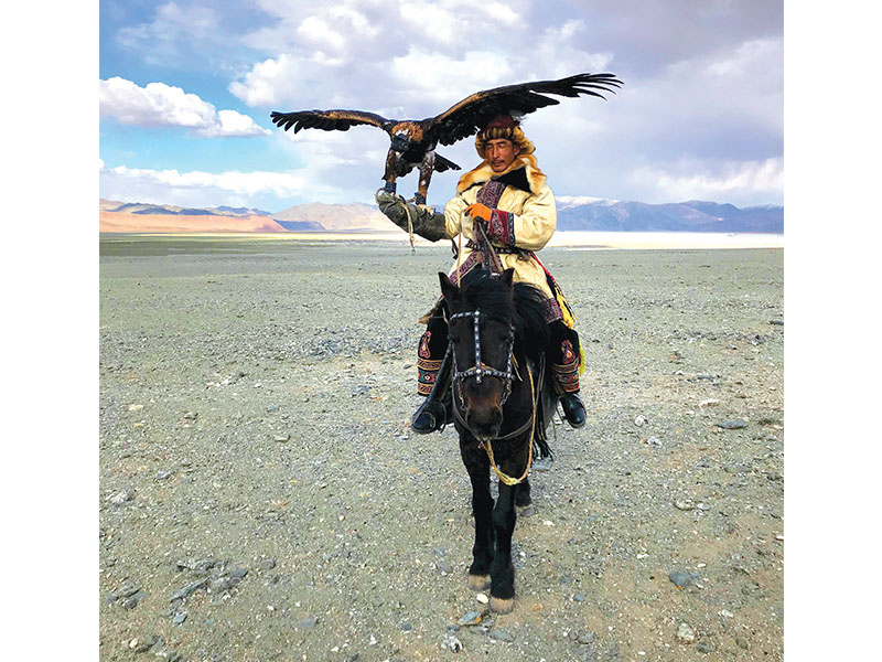 WOAM Mongolia horse