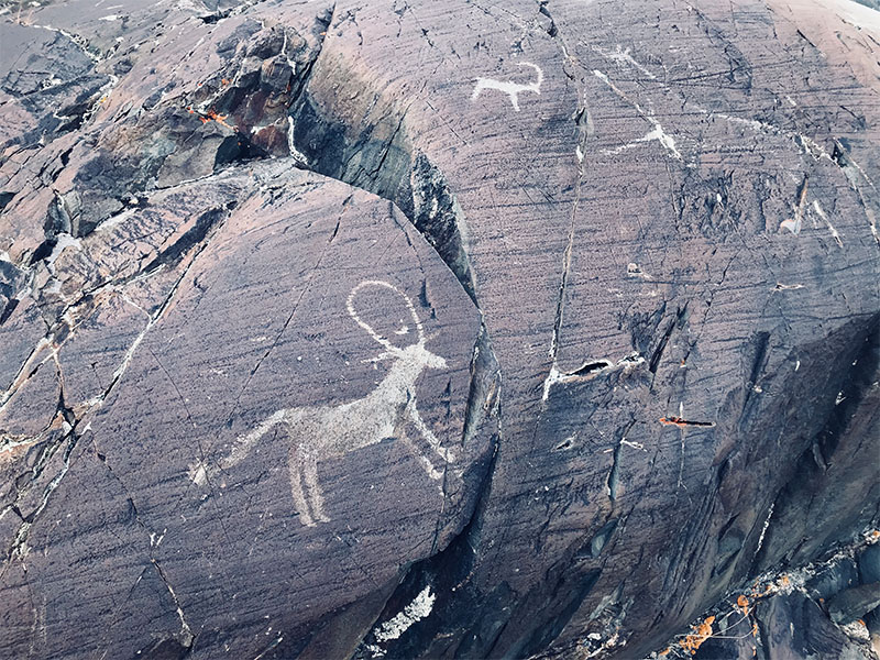 WOAM Mongolia rock carvings