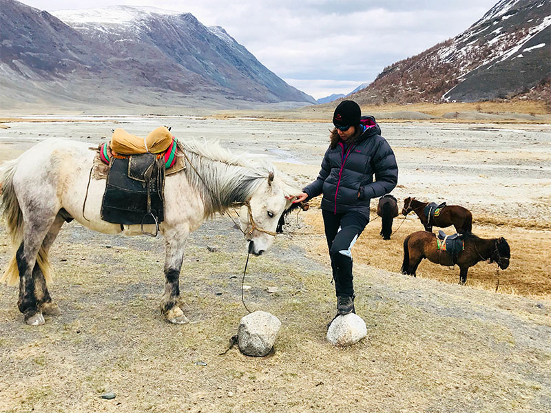 WOAM Mongolia with horse