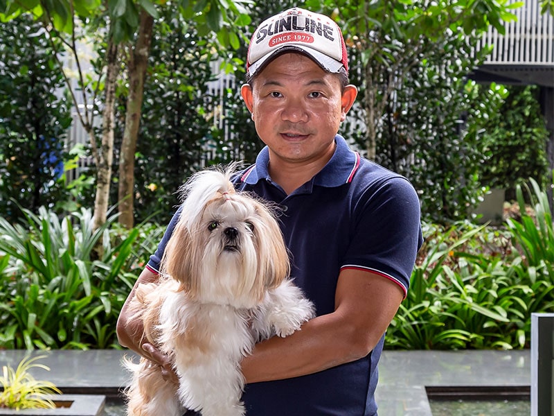Pets services Singapore - Fur N Away
