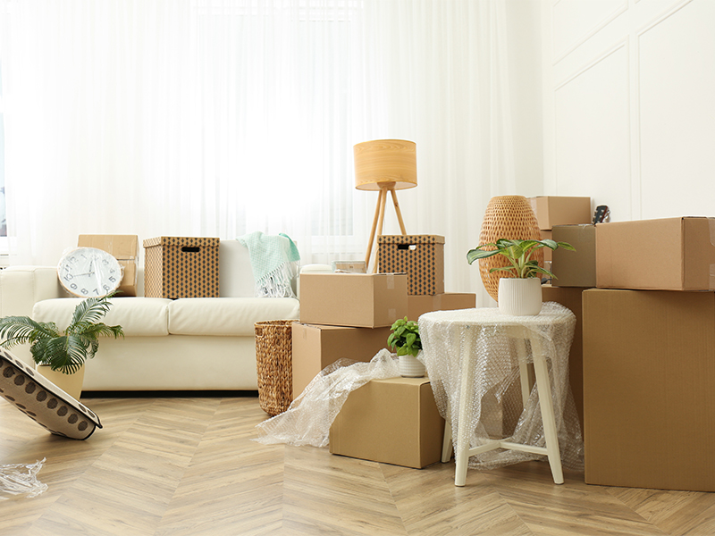 best movers moving company in singapore