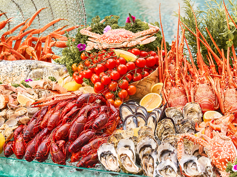 Food Exchange at Novotel on Stevens - brunch in singapore 