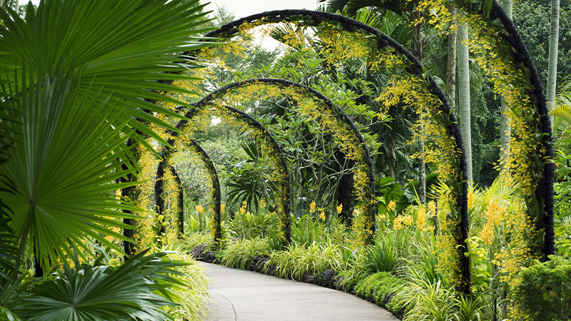 Botanic gardens arches