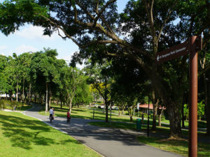 Guide to living in Pasir Ris