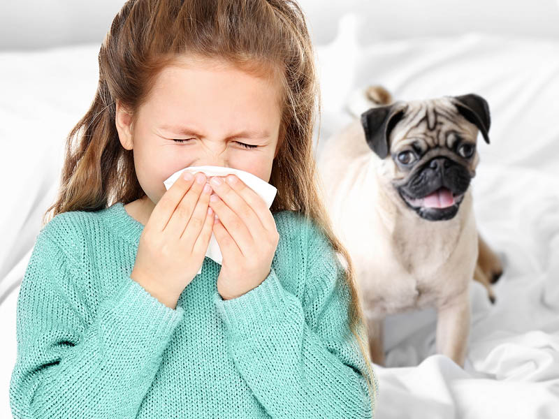 Pet allergy